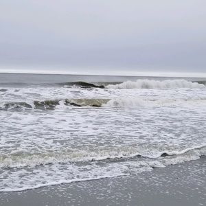 Meet your Posher, Cynthia